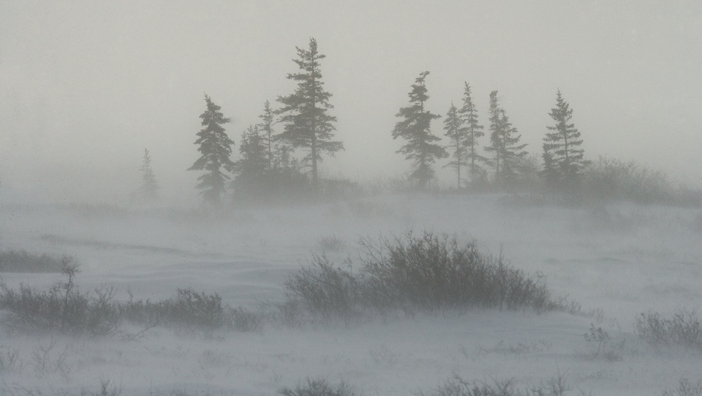 Марий Эл накрыли метели