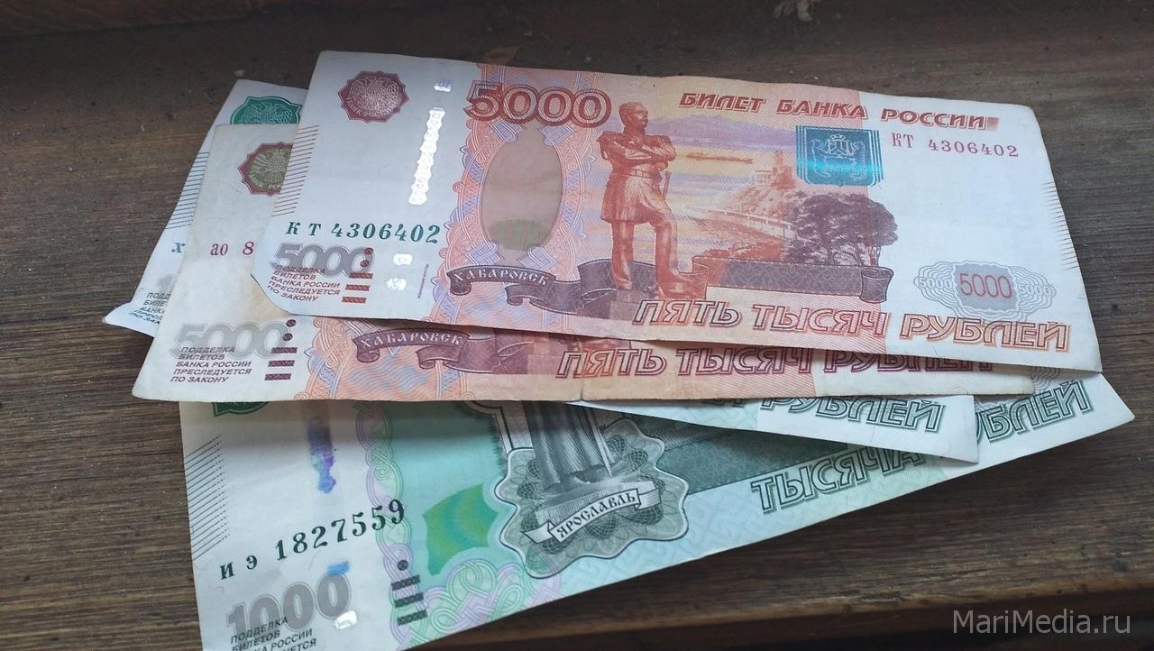 Двое жителей Звениговского района стали жертвами интернет-аферистов