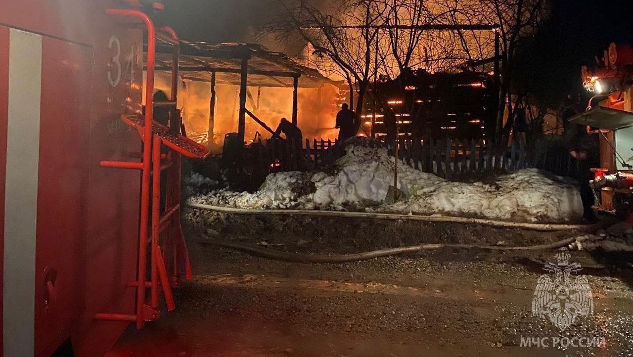 В частном хозяйстве в деревне Киселево погиб домашний скот