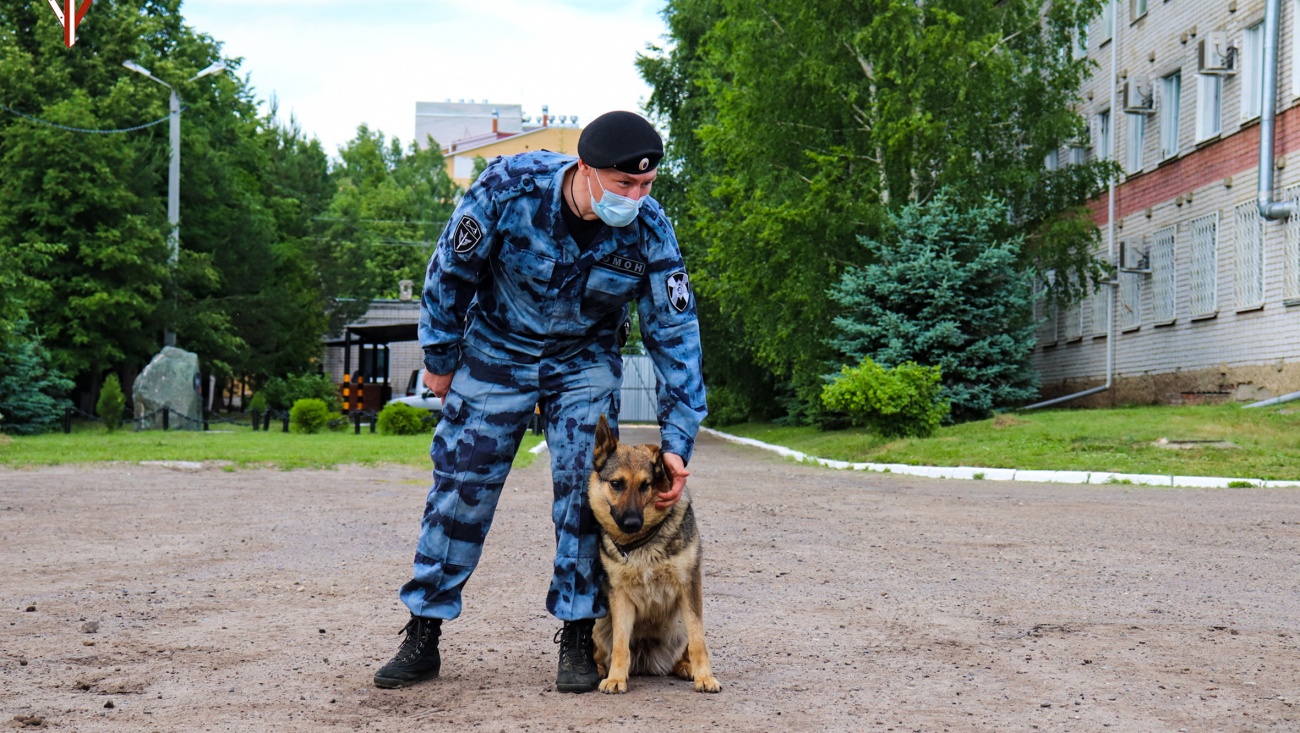 В 2021 году кинологи обследовали более 230 объектов в Марий Эл