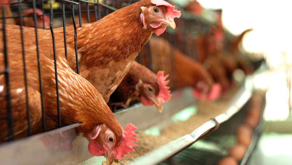 Социально-экономическое положение Марий Эл в первом полугодии