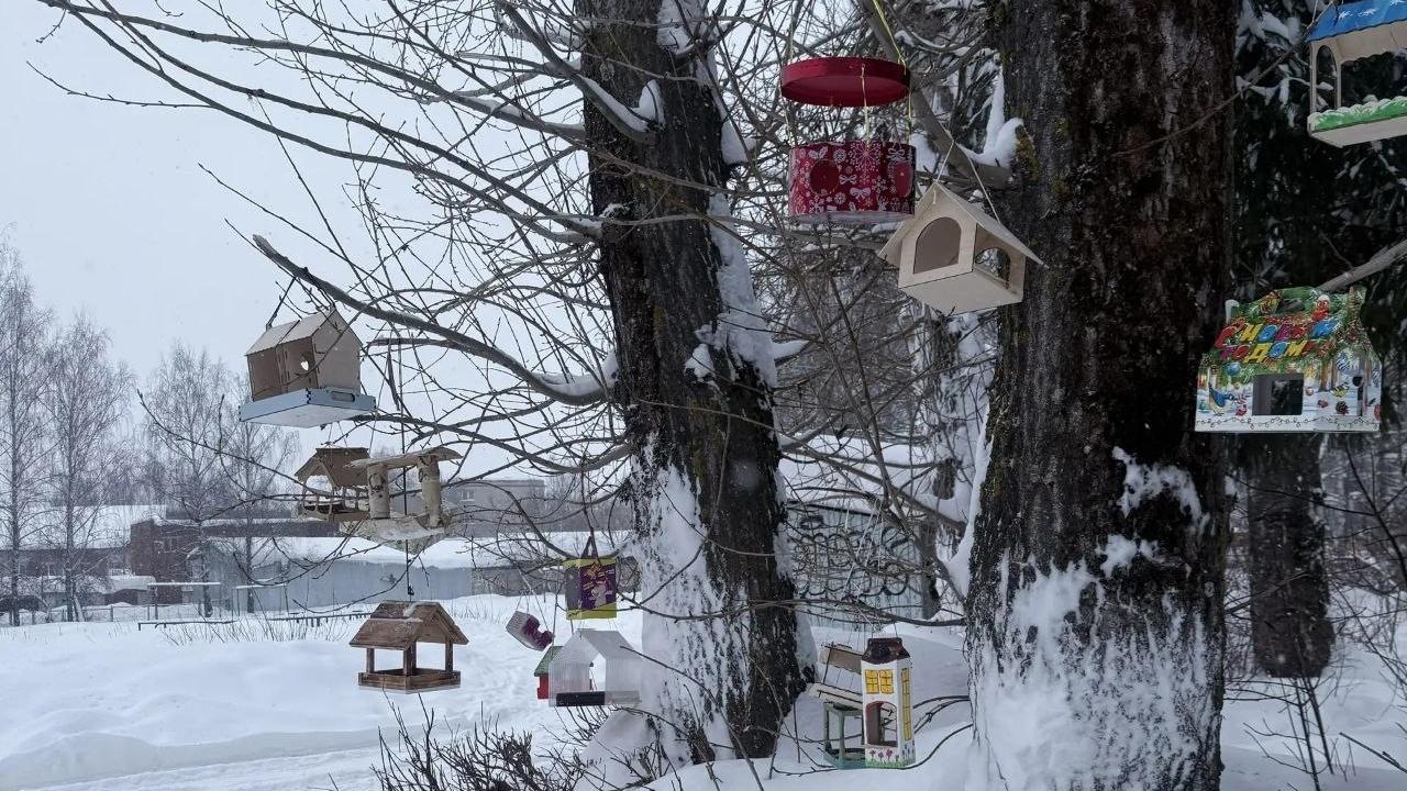 Ребята из 27 школы в Йошкар-Оле обустроили большую птичью столовую