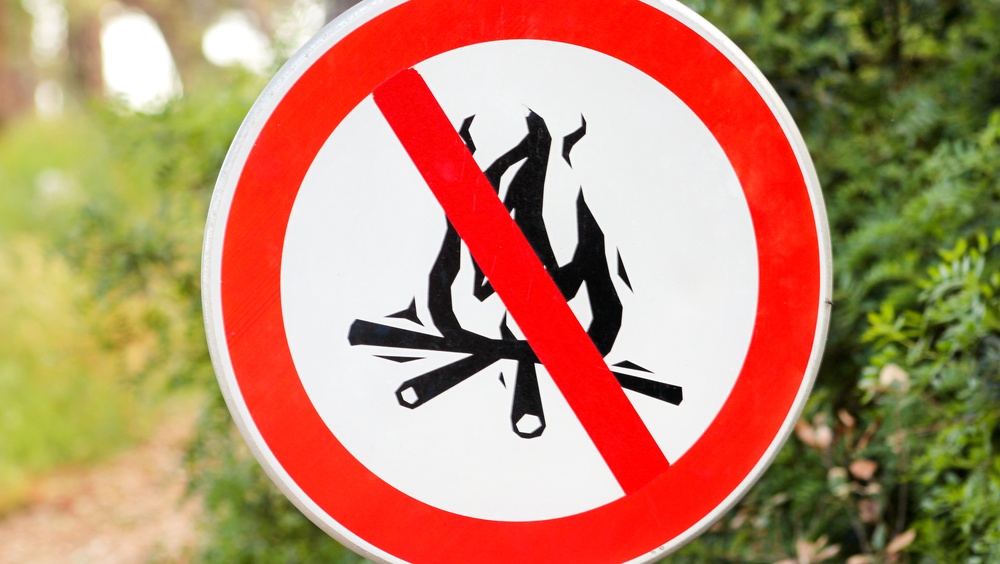 В Марий Эл закрыли леса для посещений