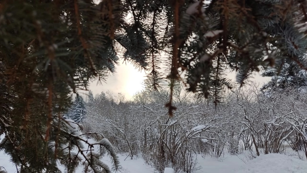 В Марий Эл пришла астрономическая зима