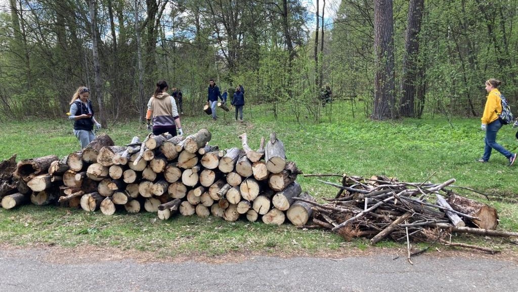 В Сосновой роще Йошкар-Олы  проведут уборку