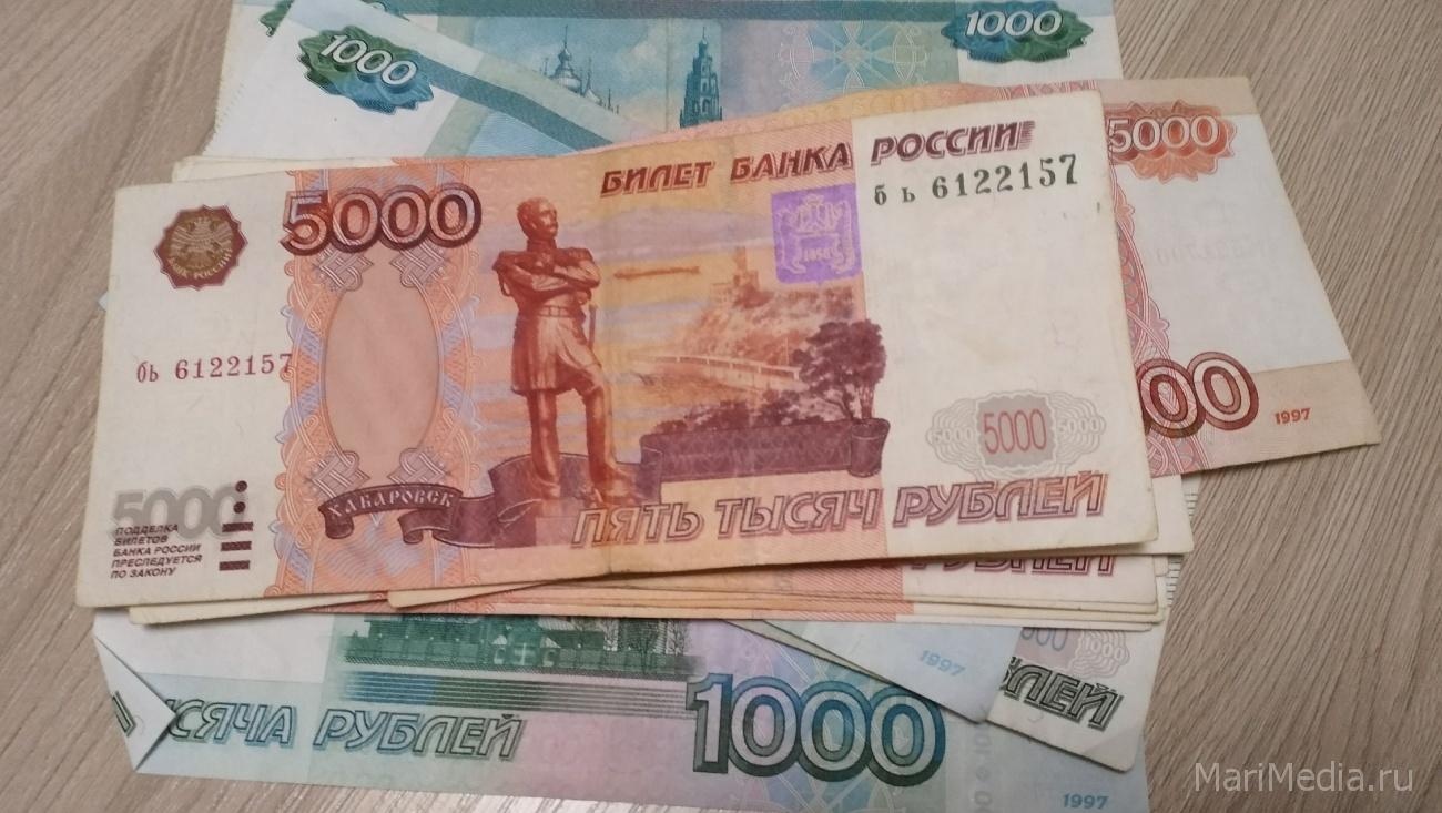 В Марий Эл на выплату регионального маткапитала направлено более 10 млн рублей