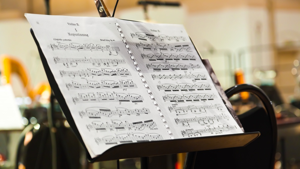 В Йошкар-Оле соберутся около 180 исполнителей на струнно-смычковых инструментах