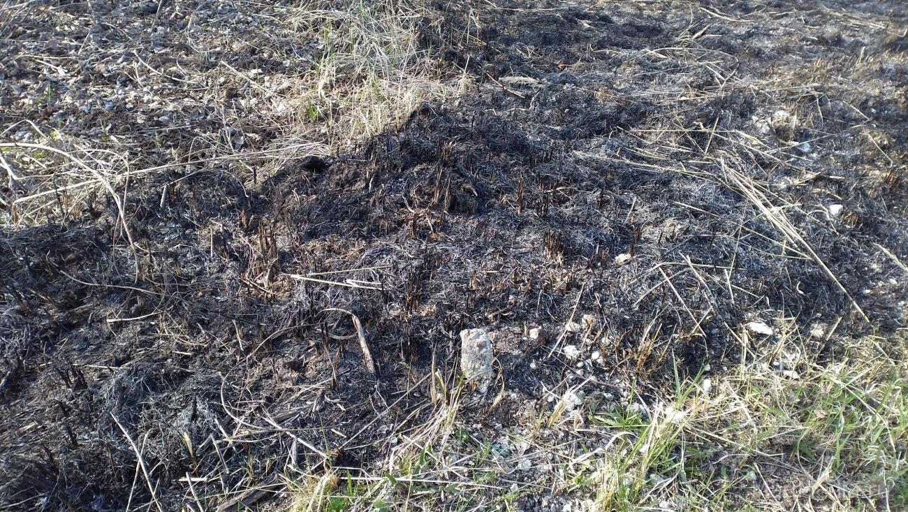 В Марий Эл нарушителей противопожарного режима ждёт штраф до 400 тысяч рублей