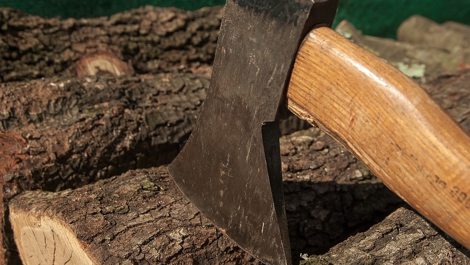 В Звениговском районе орудуют чёрные лесорубы