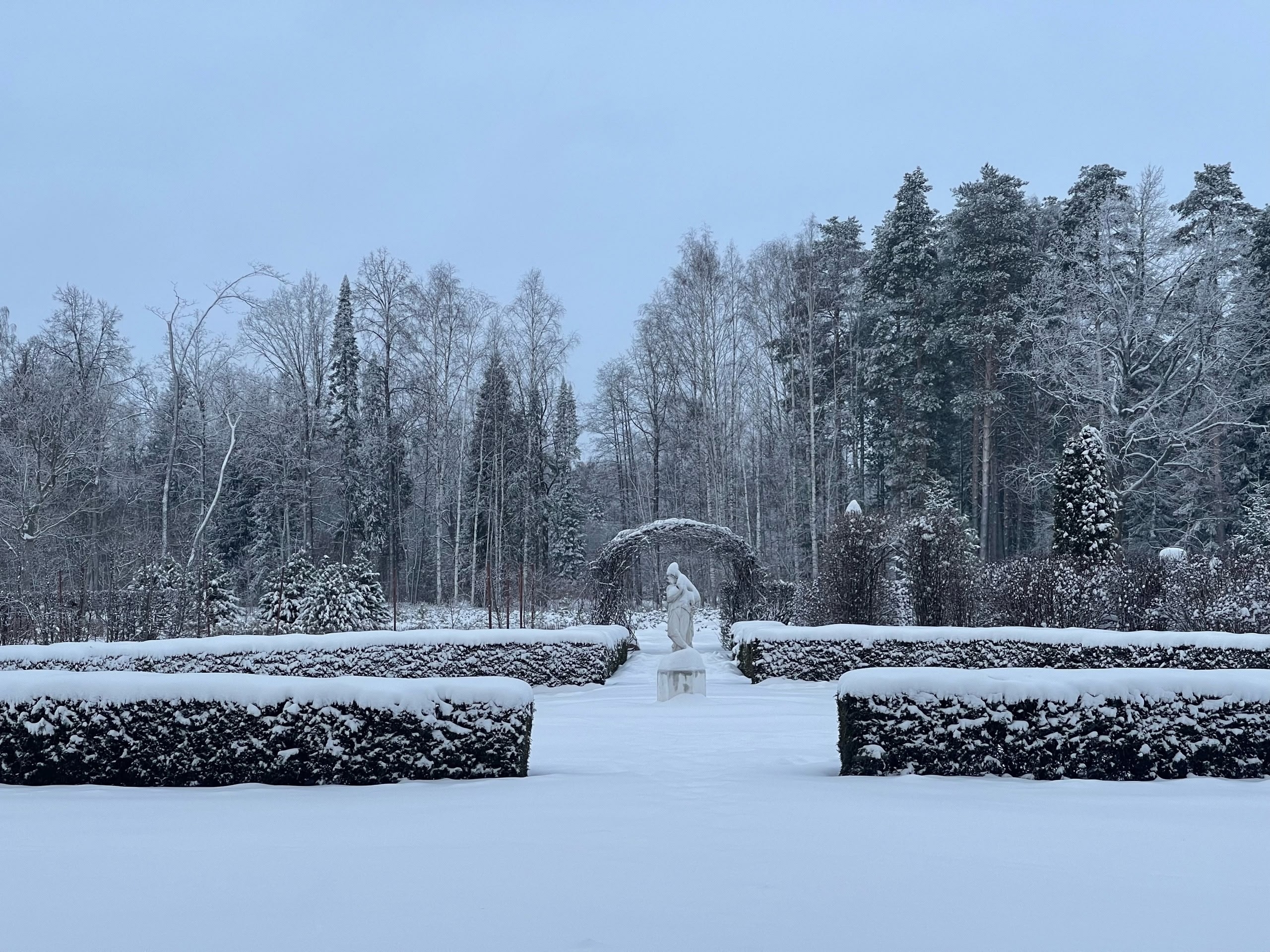 Экологи рассказали, как метели помогают растениям Ботсада Йошкар-Олы