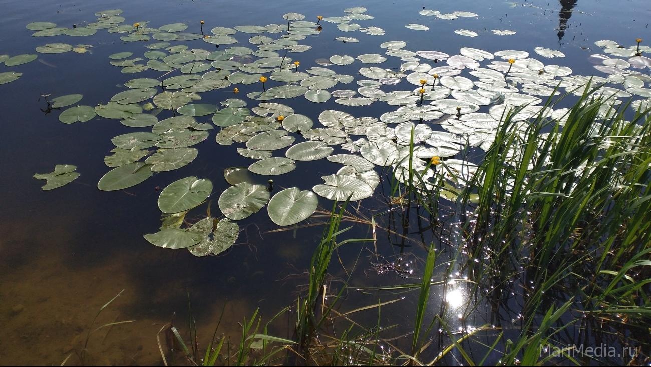 Минприроды заключило 13 договоров пользования рыболовными участками