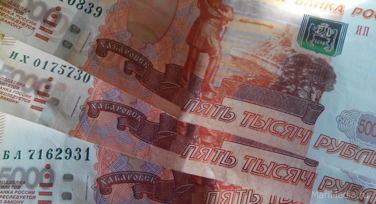 В Марий Эл многодетным семьям выплатили 2,7 млн рублей