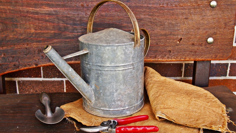 «Садовые воры» из Волжска предстанут перед судом