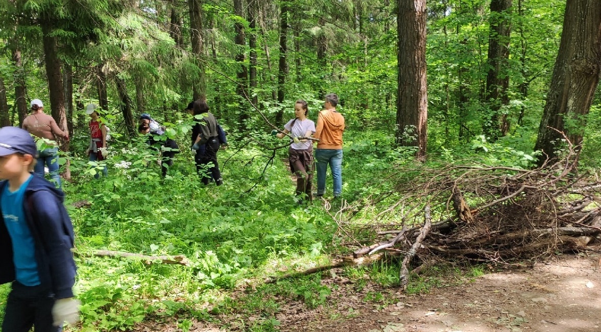 В Йошкар-Оле проведут уборку в Сосновой роще