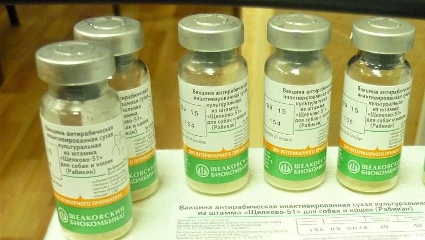В Марий Эл поступила вакцина от бешенства
