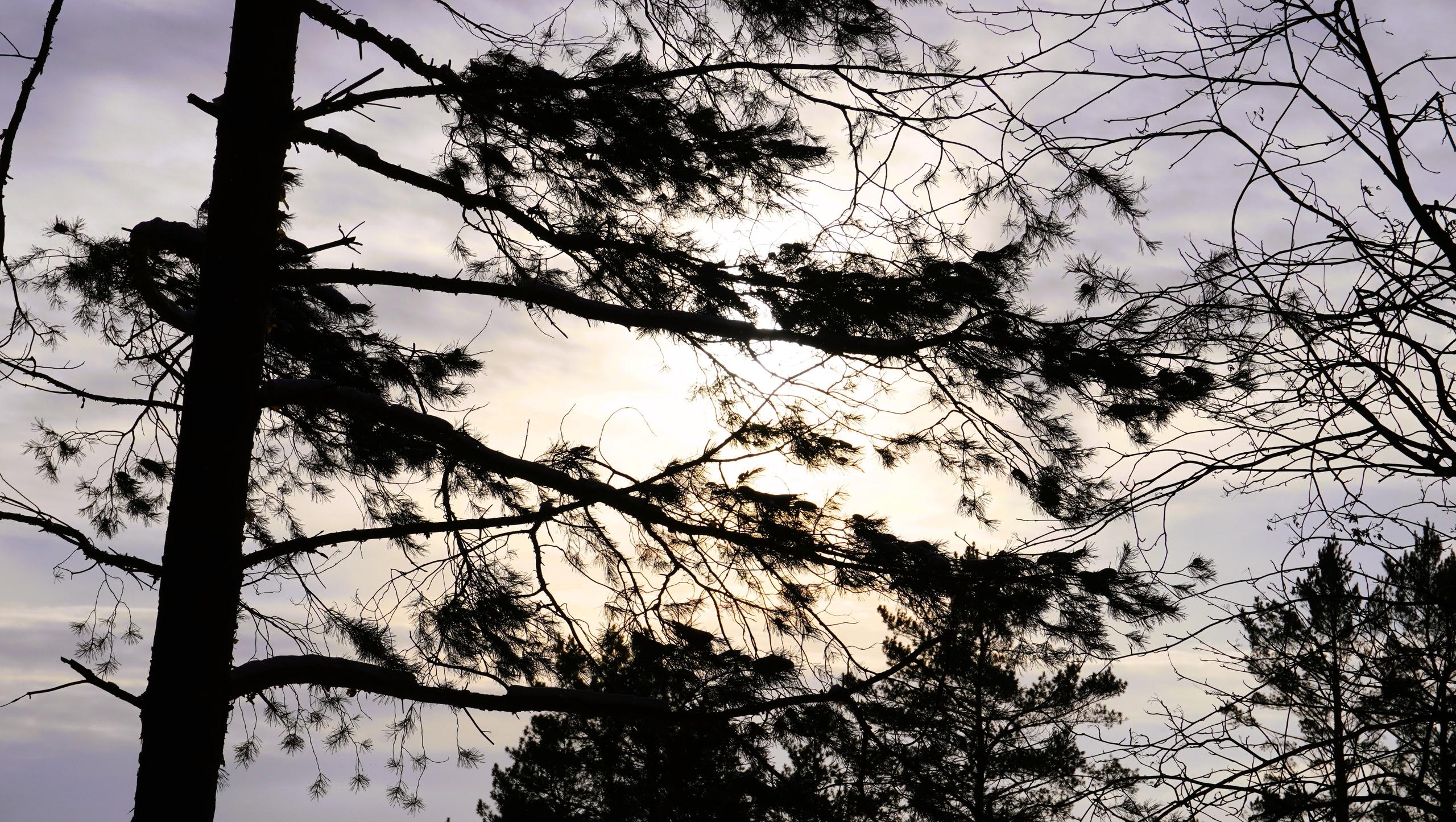  От синоптиков Марий Эл поступил срочный прогноз