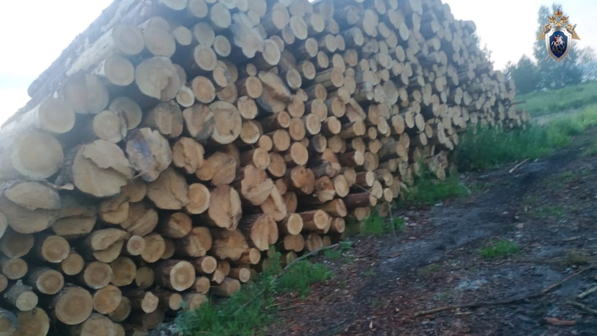 Предпринимателя из Советского района будут судить за гибель ребёнка под брёвнами