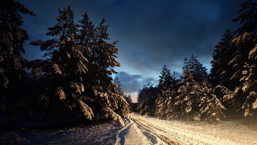 Вечером перекроют загородную дорогу в Марий Эл