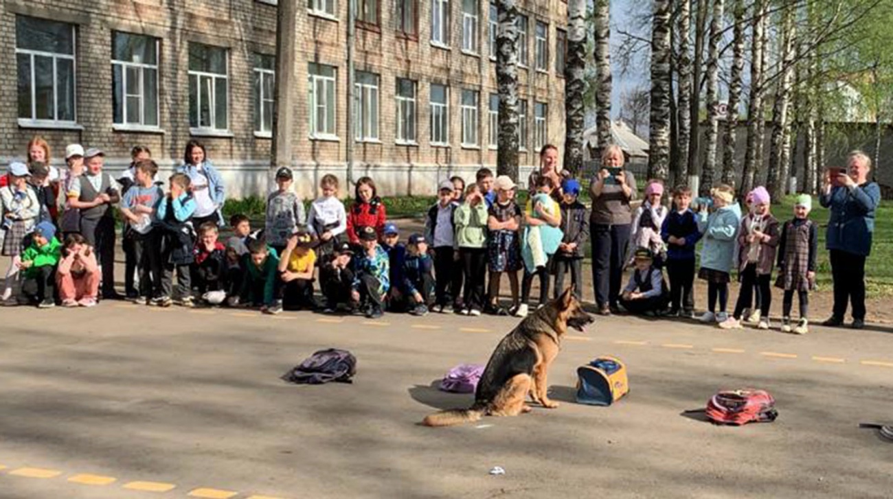 Кинологи тюремного ведомства побывали в йошкар-олинской школе № 3