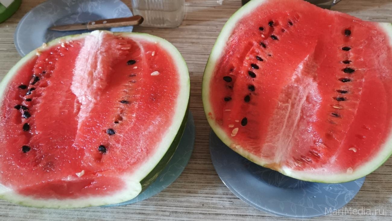Суточная доза арбуза для детей и взрослых
