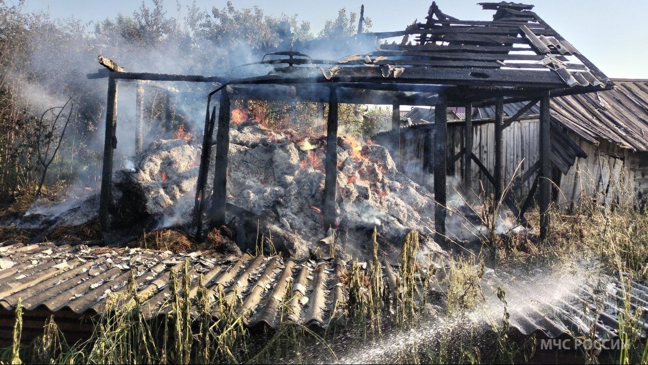 Детская шалость с огнём стала причиной пожара в Мари-Туреке