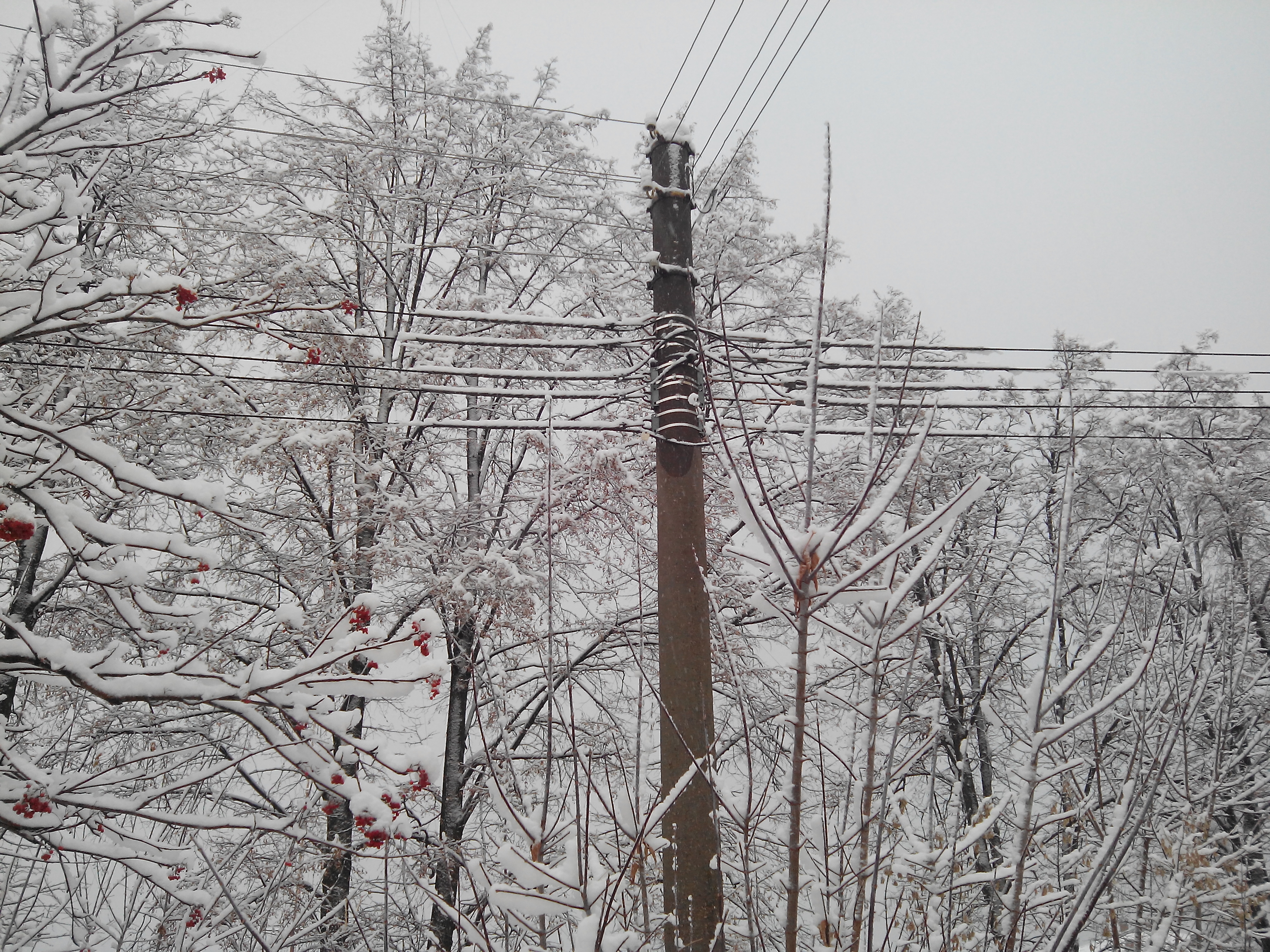 В Килемарском районе Марий Эл 11 населённых пунктов остались без света