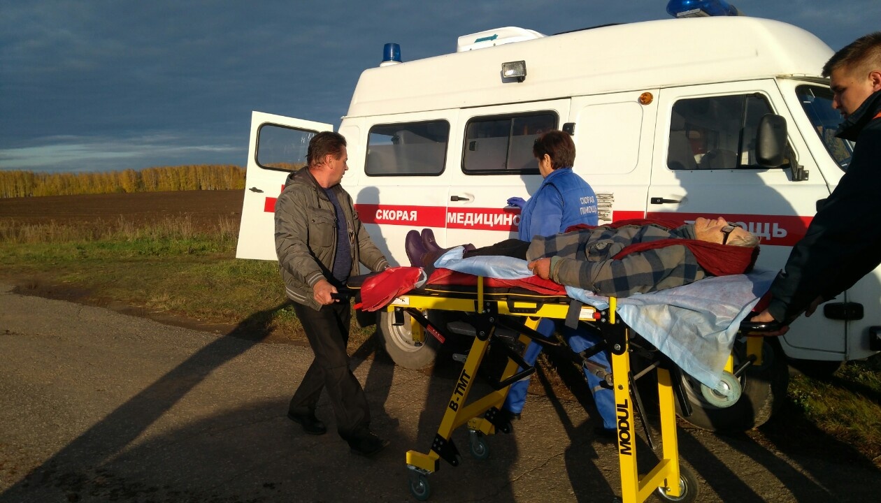 Любители клюквы «пропадают» в лесах Марий Эл