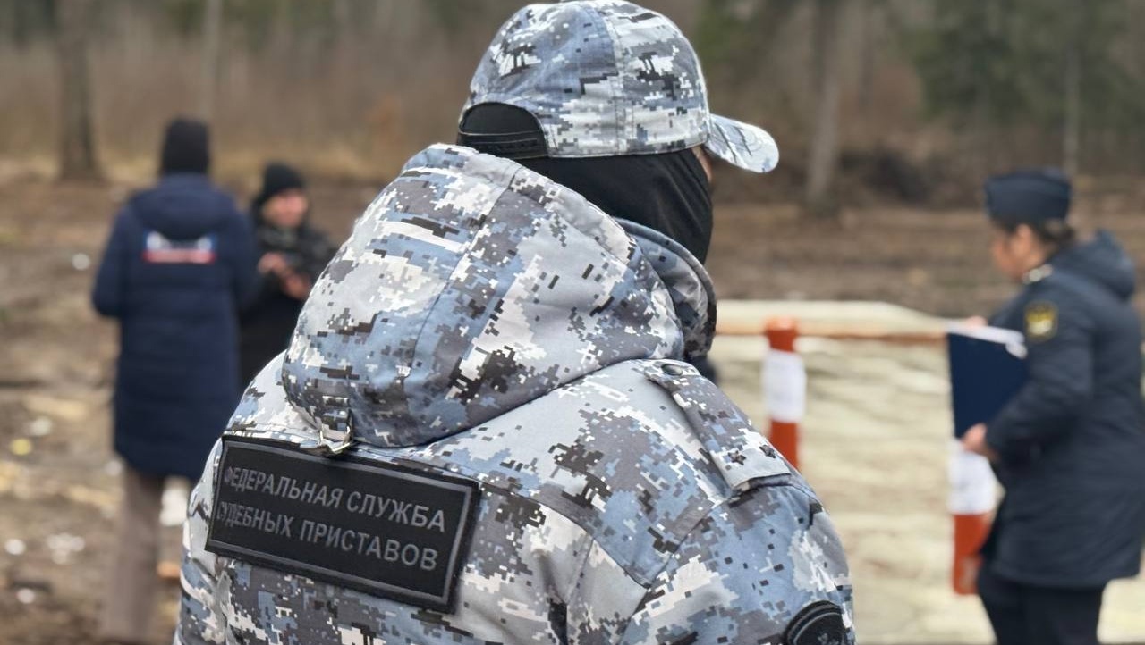В Сосновой роще в Йошкар-Оле появились судебные приставы и сотрудники прокуратуры