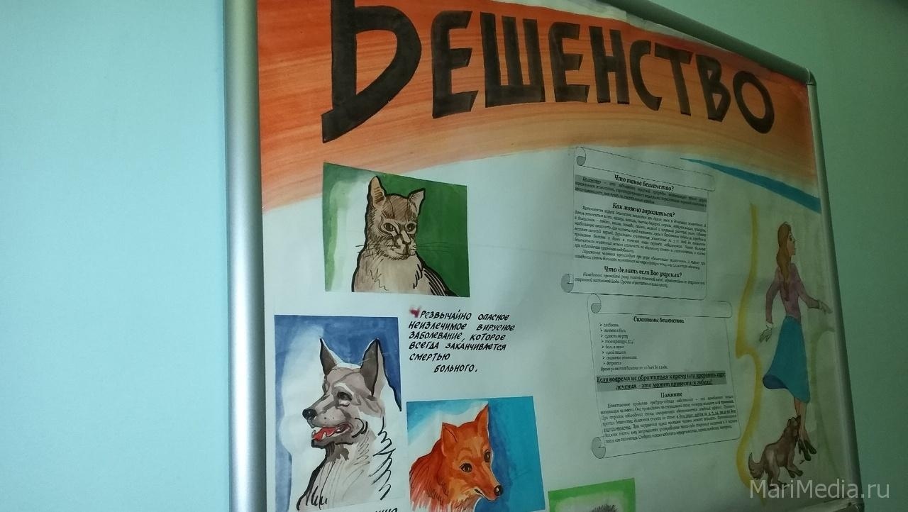 В деревне Семёновка объявлен карантин по бешенству