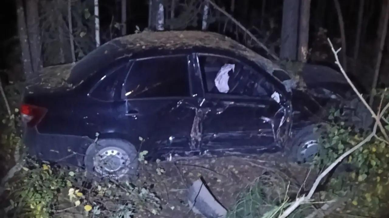 В Килемарском округе пьяный водитель съехал в кювет 