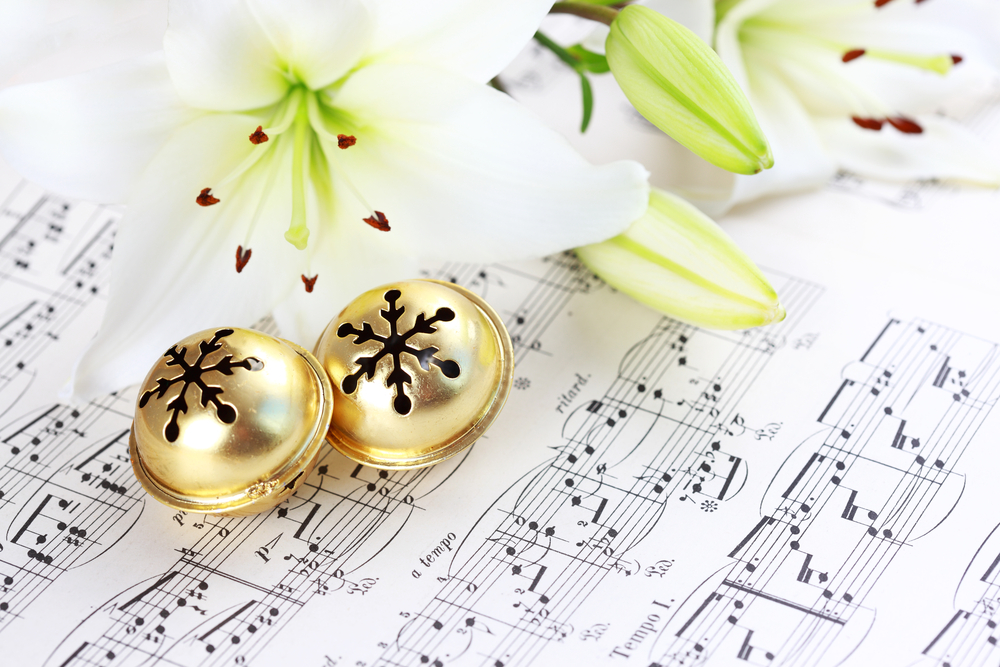 В Йошкар-Оле впервые выступят именитые пианисты-виртуозы Абросимовы