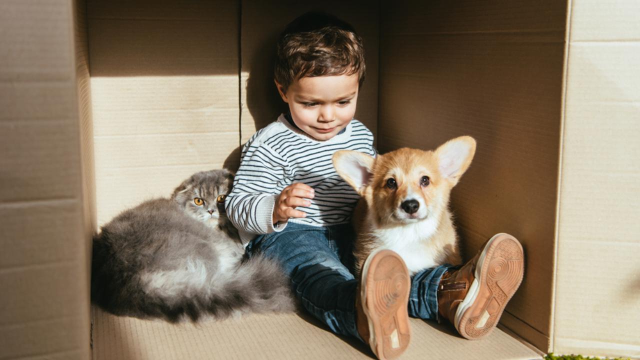 В Марий Эл 2 370 семей потратили маткапитал на улучшение жилищных условий