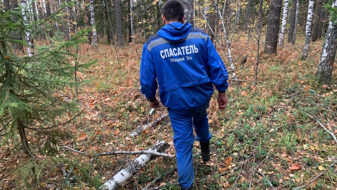 Спасатели Марий Эл назвали главную ошибку, которую совершают люди, потерявшиеся в лесу