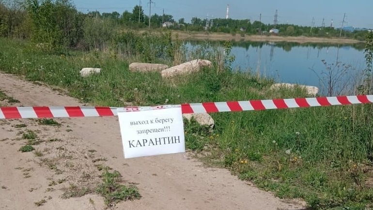 В Марий Эл выявлен ещё один очаг птичьего гриппа