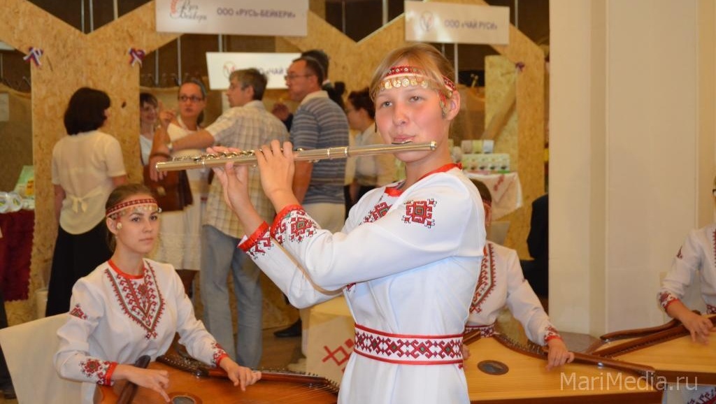 В Марий Эл хотят строить экопарки и самолёты