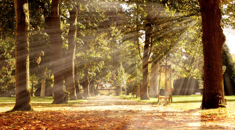 Выходные порадуют жителей Марий Эл тёплой, солнечной погодой