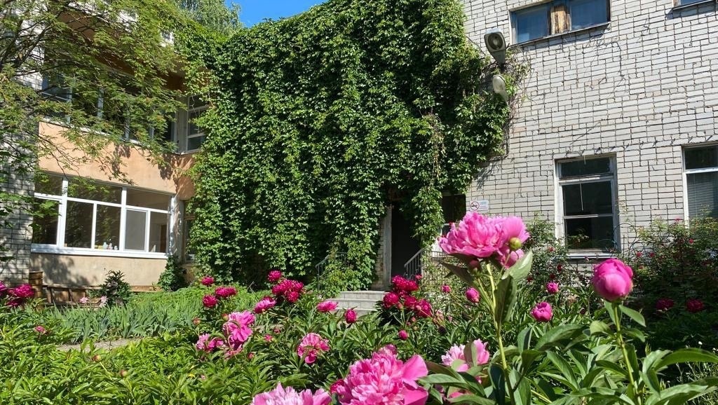 В Йошкар-Оле отметили лучших в вертикальном озеленении города