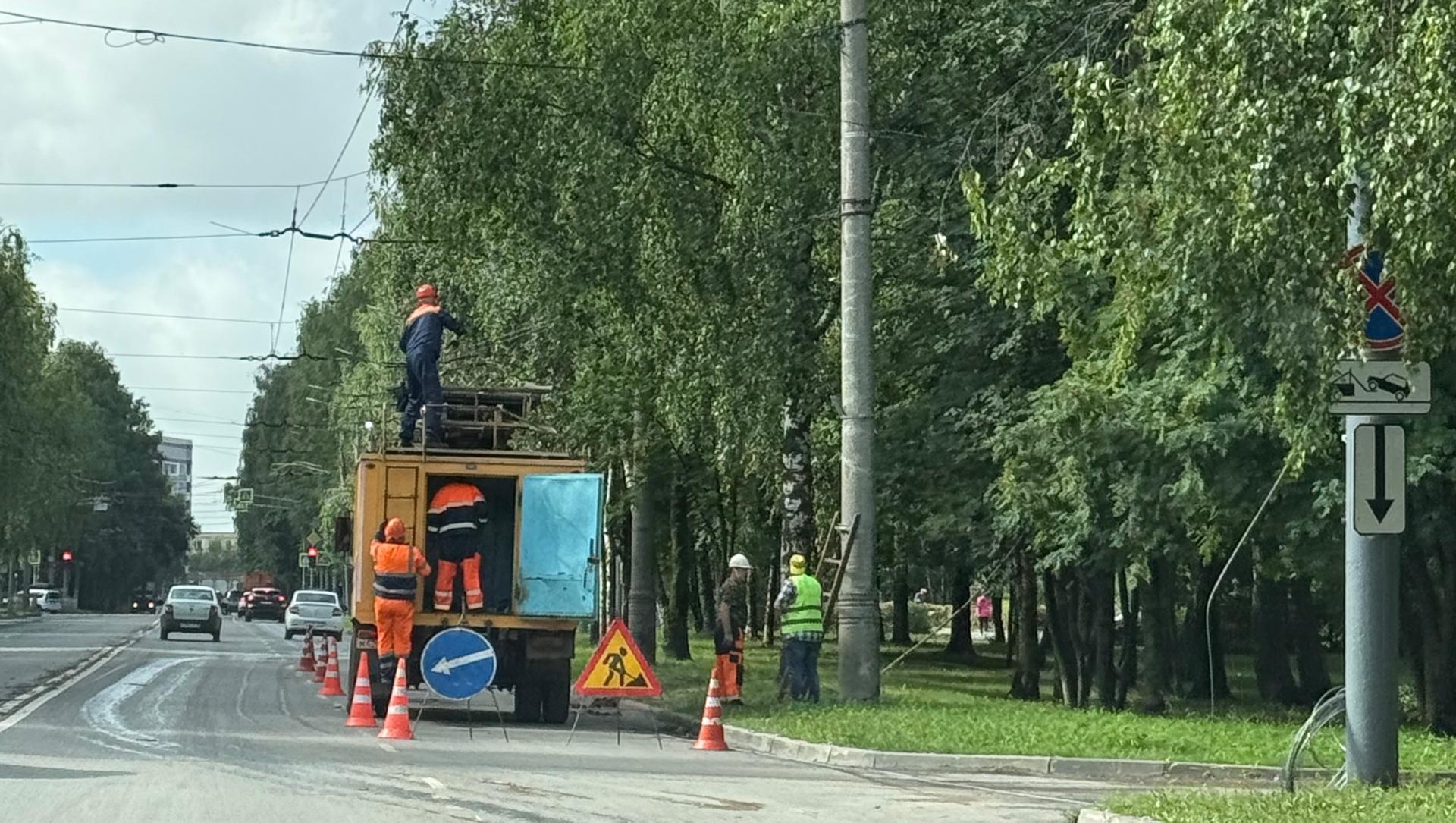 Шквалистый ветер повалил в Йошкар-Оле деревья: повреждены автомобили