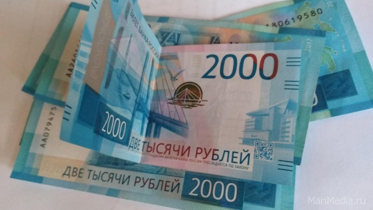 Жительница Йошкар-Олы лишилась денег, пытаясь купить сухожаровой шкаф