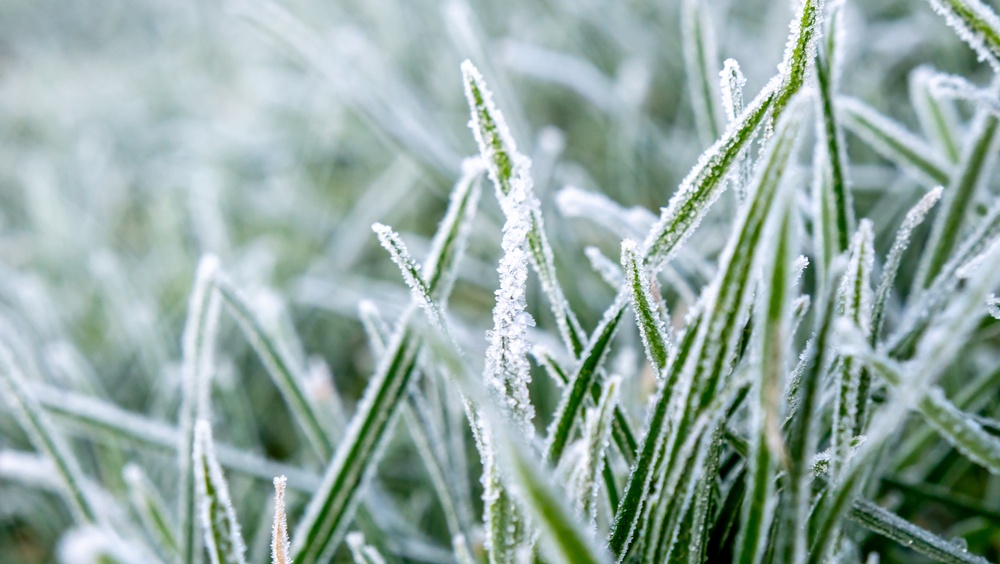 В Москве прогнозируют мокрый снег