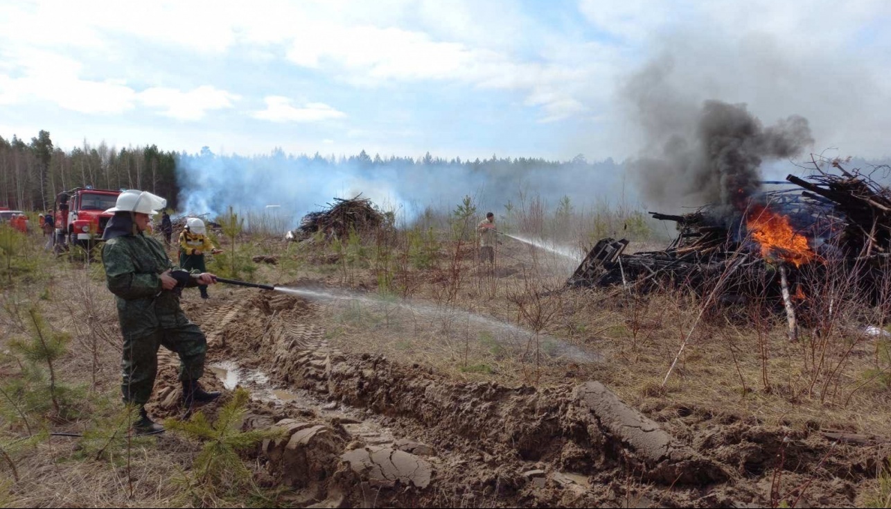 В Марий Эл с начала сезона произошло уже два лесных пожара