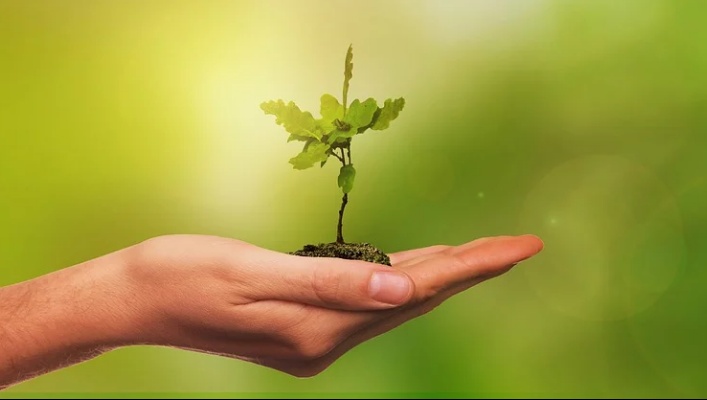 Школьное лесничество из Марий Эл стало лучшим в России