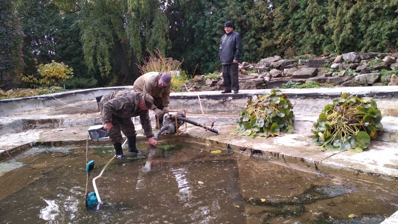 В Ботаническом саду отправили на зимовку водяные лилии