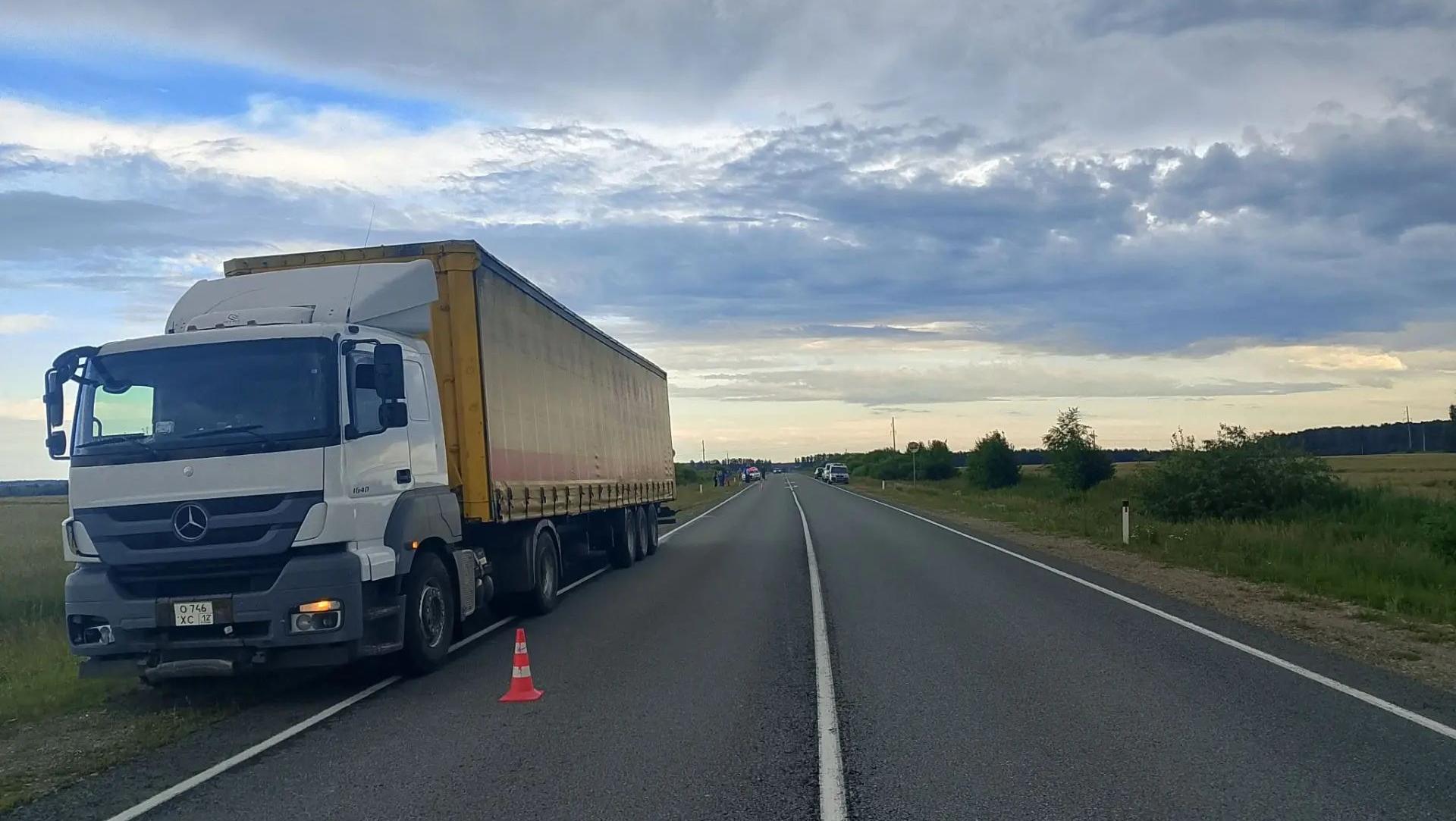 На Оршанском тракте в ДТП погиб водитель мотоблока