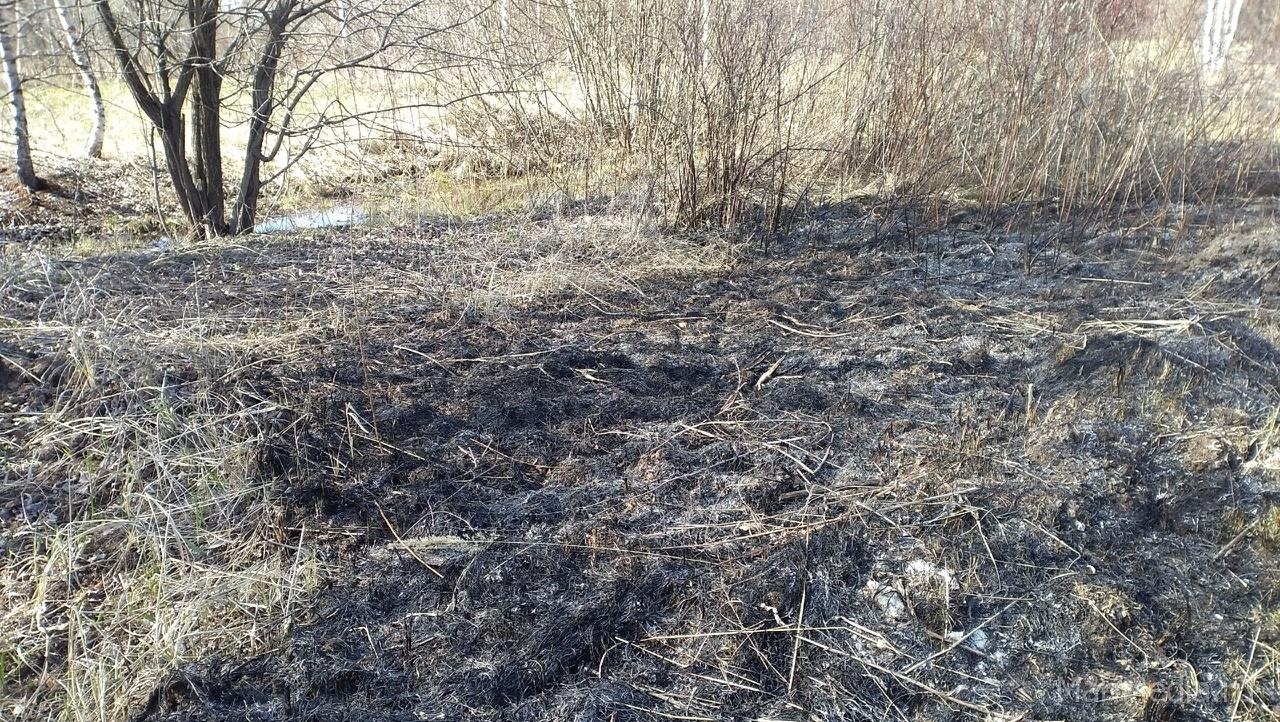 Спасатели Марий Эл делают прогноз на май