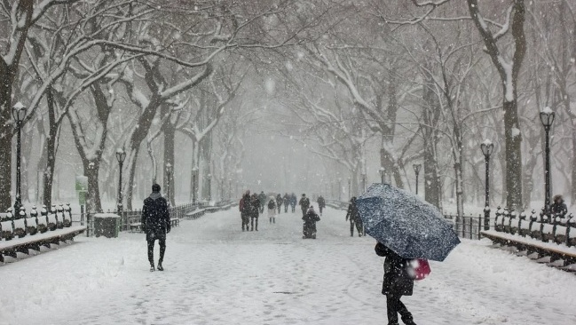 Синоптики обещают снегопад и сильный ветер