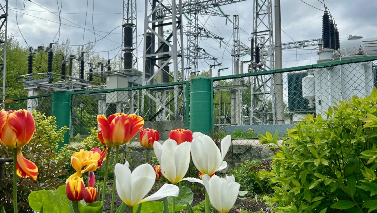 На двух улицах Йошкар-Олы завтра не будет света