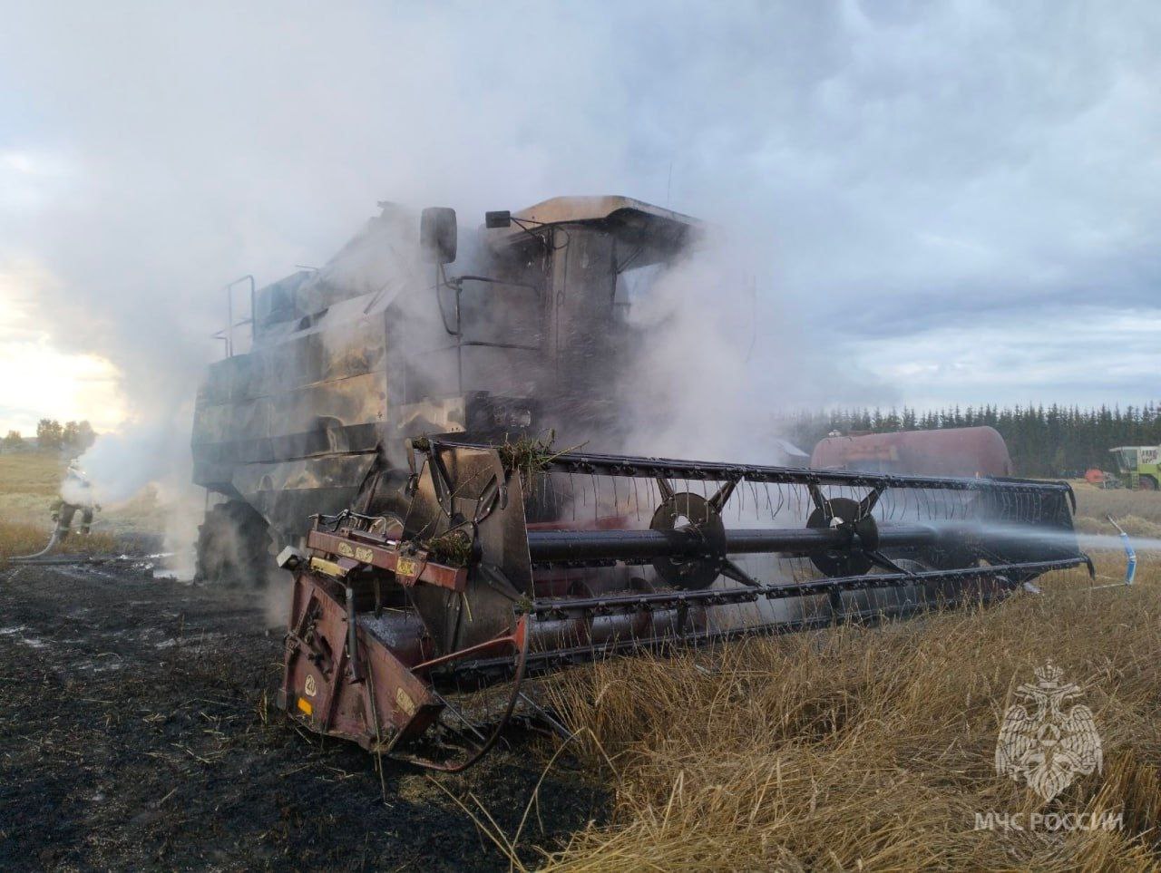 Пожарные Марий Эл рассказали, сколько машин сгорело в прошлом году
