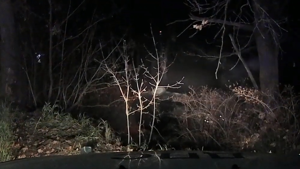 В Волжске нетрезвый водитель, спасаясь от погони, опрокинулся в кювет