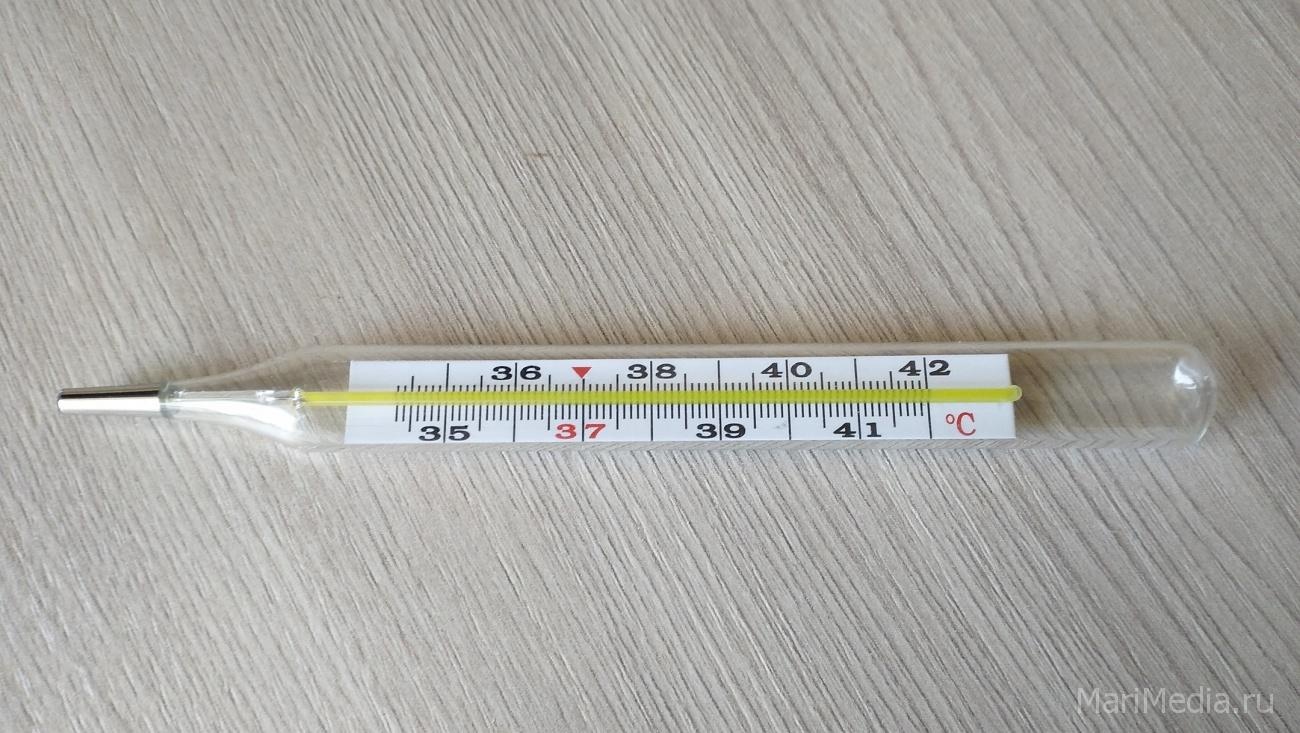 В Марий Эл больше трёх тысяч человек заболели ОРВИ на минувшей неделе